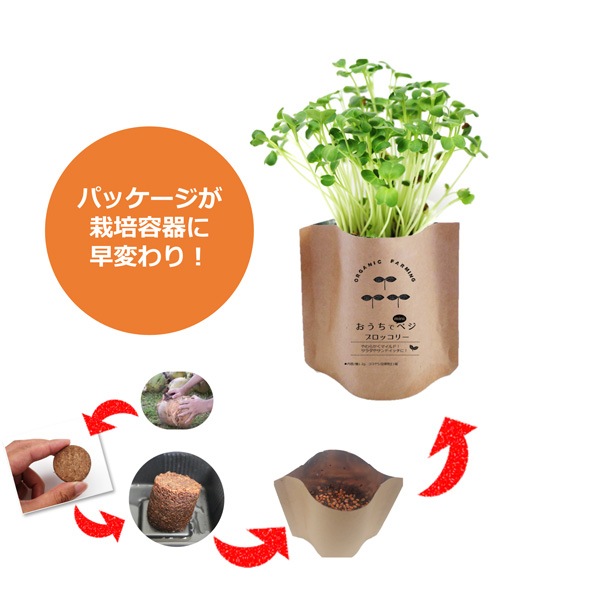 おうちでminiべジ スタンドタイプ/かいわれ大根