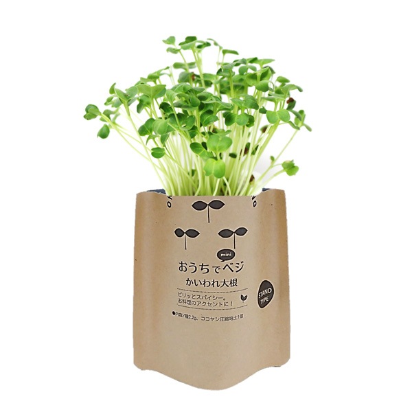 おうちでminiべジ スタンドタイプ/かいわれ大根
