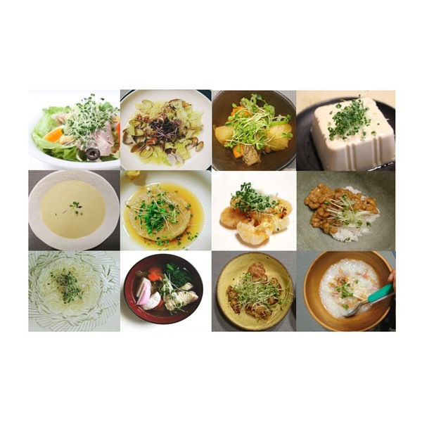 おうちでminiべジ スタンドタイプ/かいわれ大根