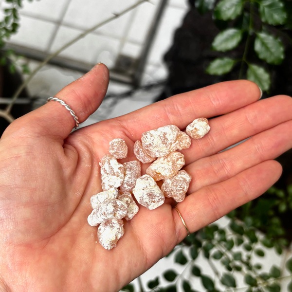 【樹脂】コパル ゴールデン（Copal Oro）  10g