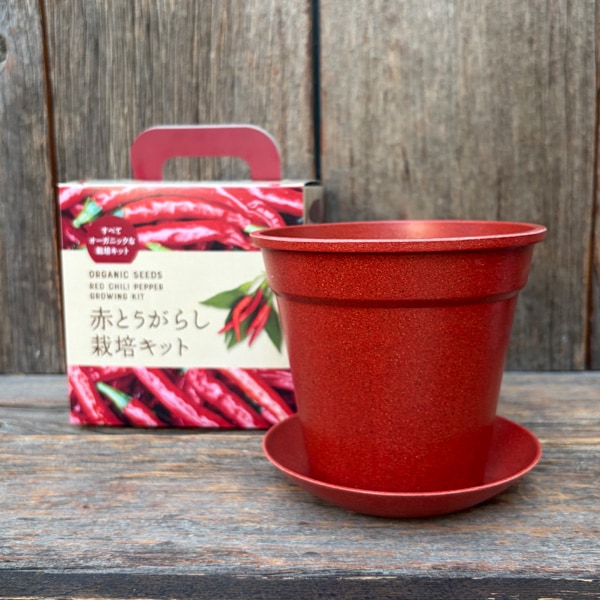 赤とうがらし栽培キット/オンラインレッスン付き すべてオーガニックな栽培キット 和の薬味シリーズ