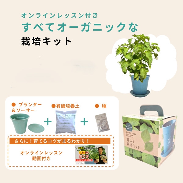 赤とうがらし栽培キット/オンラインレッスン付き すべてオーガニックな栽培キット 和の薬味シリーズ