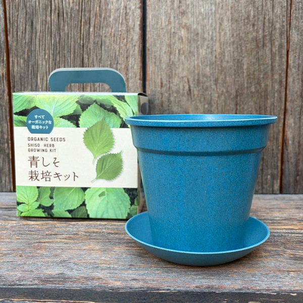 青しそ栽培キット／オンラインレッスン付き すべてオーガニックな栽培キット 和の薬味シリーズ