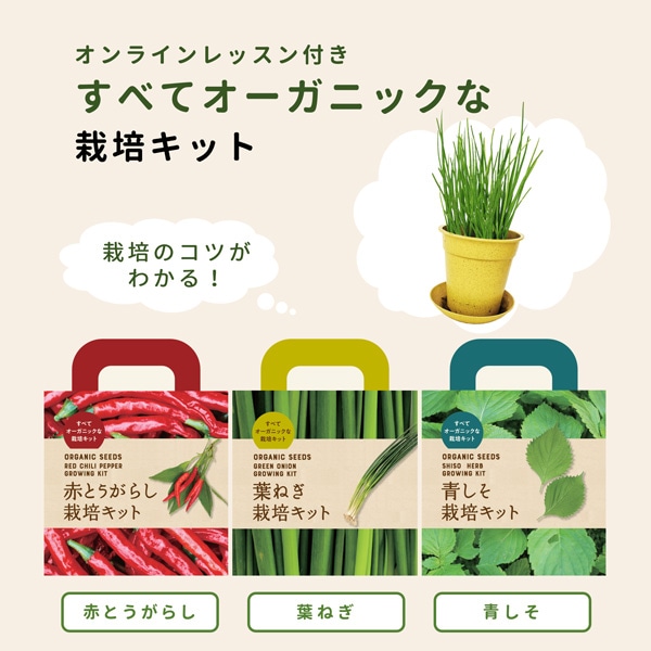 葉ねぎ栽培キット/オンラインレッスン付き すべてオーガニックな栽培キット 和の薬味シリーズ