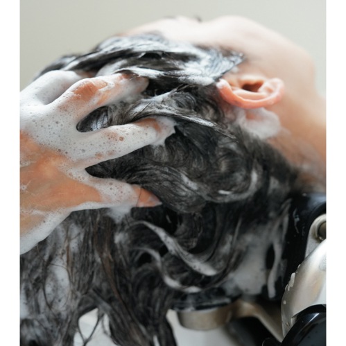 shuddhh HEMP CHARCOAL SHAMPOO ヘンプ・チャコール・シャンプー 390ml