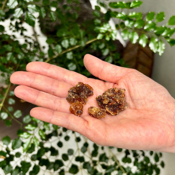 【樹脂】ミルラ (イエメン産) 10g