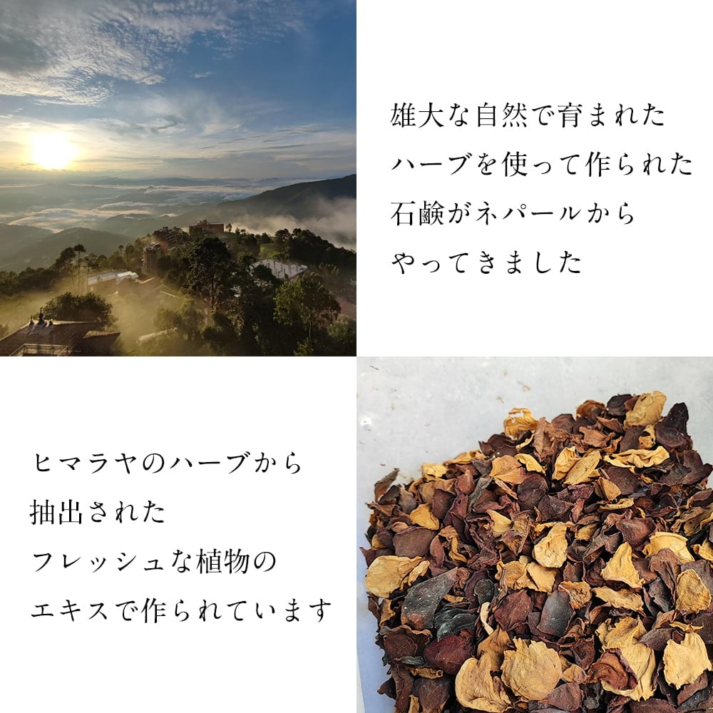 手作り石鹸 Bounty Himalaya ローズ フェイス&ボディソープ