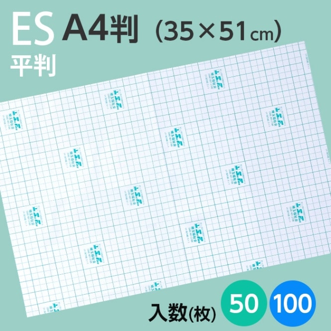 ֥åȥեES ʿȽ A4Ƚ35cm51cm [50100]