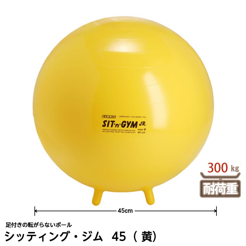 ジム 様 の専用 两本 8472-0283）シッティング・ジム ②45（黄） | 特別支援教育教材,からだ