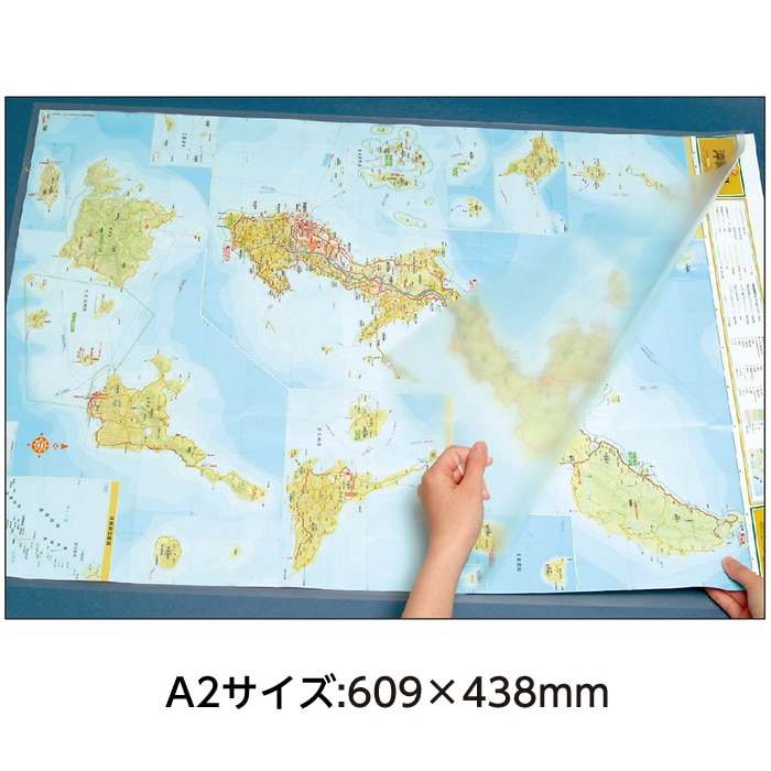 すばらしきこのせかい クリアファイルホルダー 4547-0308）クリアホルダー 大型資料ホルダーソフトタイプ A2（5枚入