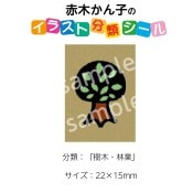 2501-0045ڤҡ饹ʬॷּڡӶȡ No.045  1ȡʥ20դ