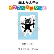 2501-0035ڤҡ饹ʬॷֻ No.035  1ȡʥ20դ