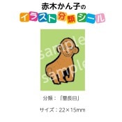 2501-0071ڤҡ饹ʬॷĹܡ No.071  1ȡʥ20դ