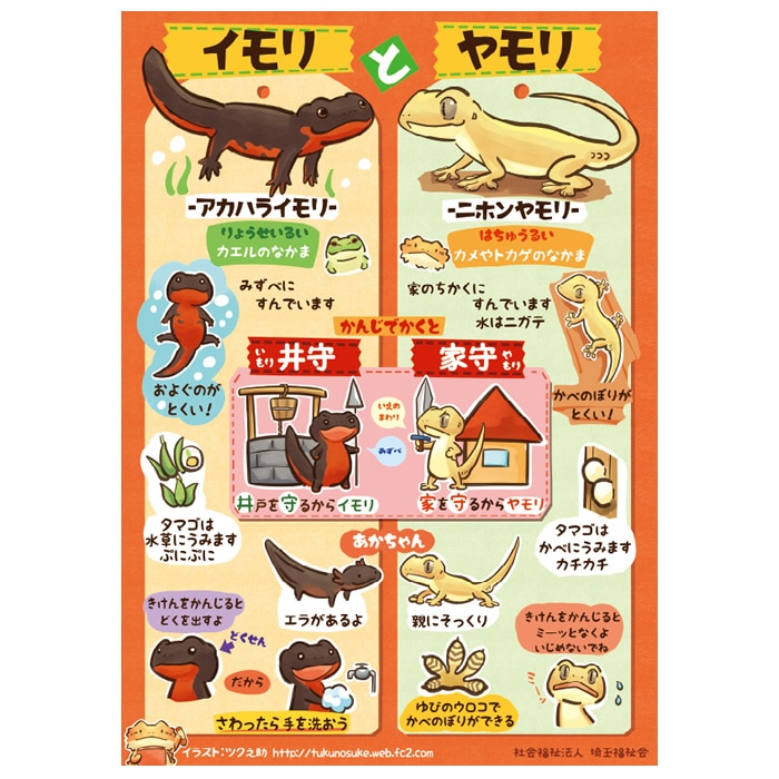 ��2501-3023�����ڤ���ҥݥ����� �����A1�ݥ������֥����ȥ���θ�ʬ������A1���� 1�� ������1