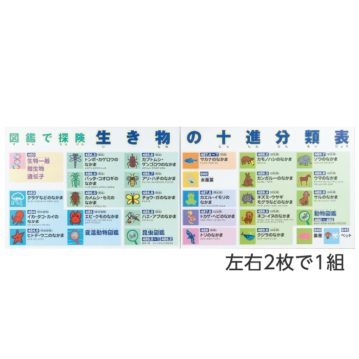 2501 3004 生き物の十進分類表 2枚組 入数 1セット サイズ 1枚 A1判 W841 H594mm 図書館用品 赤木かん子関連商品 サイン シール サイフクオンライン サイン シール