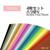 ��9808-0178�˥������顼���������ѻ楻�å� Ȭ���ڤ� W395��H275mm ������� ������1���åȡ�4���