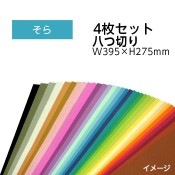 ��9808-0169�˥������顼���������ѻ楻�å� Ȭ���ڤ� W395��H275mm ���� ������1���åȡ�4���