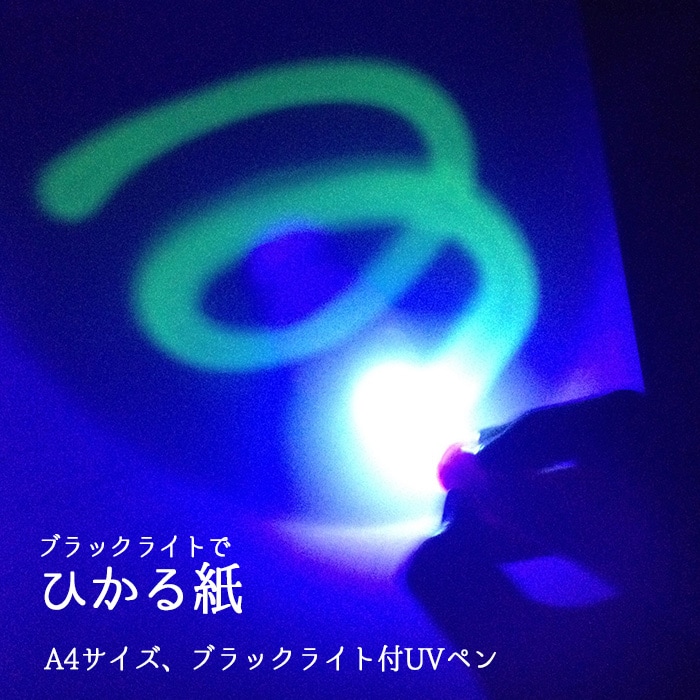 000000002961_jP7YR66.jpg