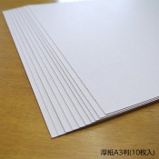 ��9801-4000�˸��� A3Ƚ��10������ ������1���å� ���500g��ʿ���᡼�ȥ�