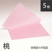 ���߸˸¤�(9801-6506)�Կ��ۥ��˥ܥ�400��500(5����)��