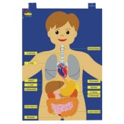 ߸˸¤(2558-1511)ڥȥ꡼Τ߭ڤ䤤碌