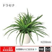 �����޿͹���ʪ���ɥ饻�� W400��D400��H320mm����webshop̤�б������䤤��碌������