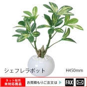 �����޿͹���ʪ�������ե��ݥå� W220��D200��H230mm����webshop̤�б������䤤��碌������