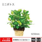 �����޿͹���ʪ���ߥ˥ݥȥ� W220��D200��H250mm����webshop̤�б������䤤��碌������