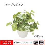 �����޿͹���ʪ���ޡ��֥�ݥȥ� W400��D300��H250mm����webshop̤�б������䤤��碌������