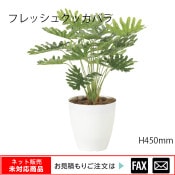 �����޿͹���ʪ���ե�å��奯�å��Х� W320��D320��H450mm����webshop̤�б������䤤��碌������