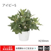 �����޿͹���ʪ�������ӡ�S W220��D220��H230mm����webshop̤�б������䤤��碌������