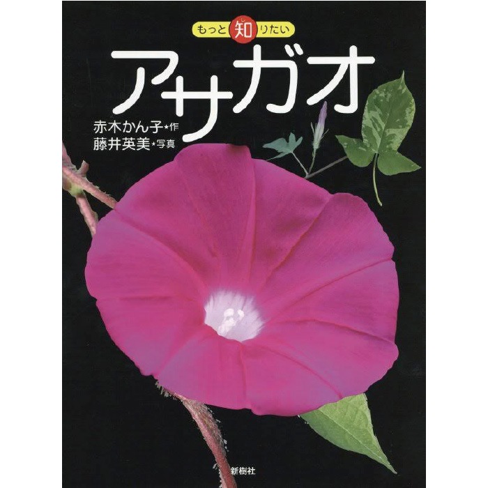 ��8505-2531�˳��ܡ֤�ä��Τꤿ�����������ס��ʤ�ä��Τꤿ�����꡼����