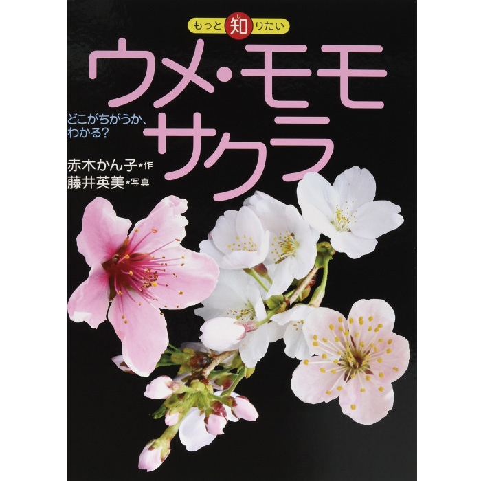廃番（8505-2533）絵本「もっと知りたいウメ・モモ・サクラ」 （もっと