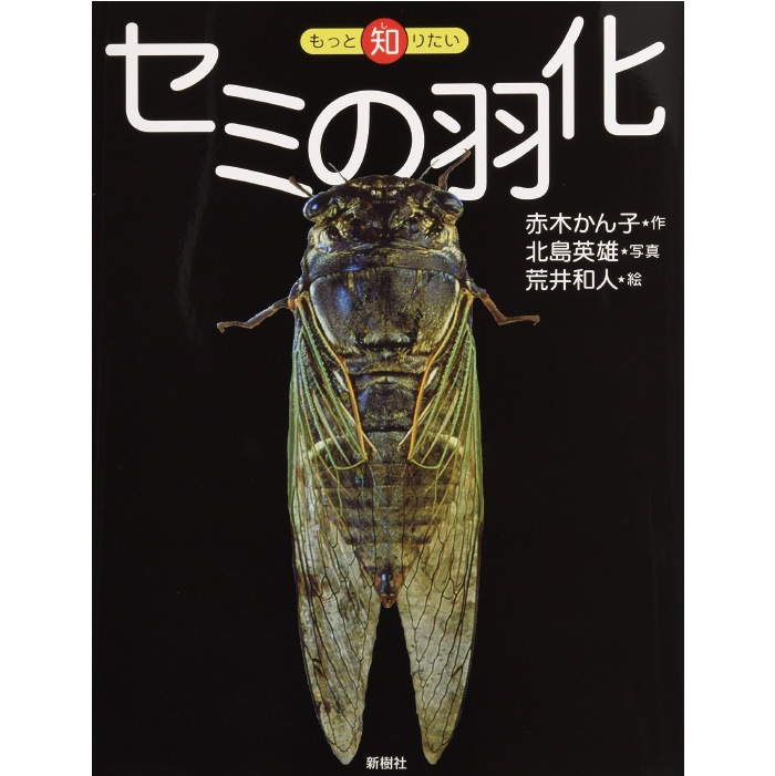 ★新品未使用品‼️オータニ昆虫館SEMI ・セミ★入手難※希少★ 8505-2536）絵本「もっと知りたいセミの羽化」 （もっと知りたい