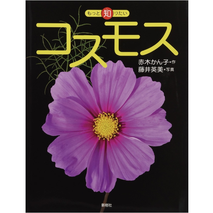 8505-2537）絵本「もっと知りたいコスモス」 （もっと知りたいシリーズ