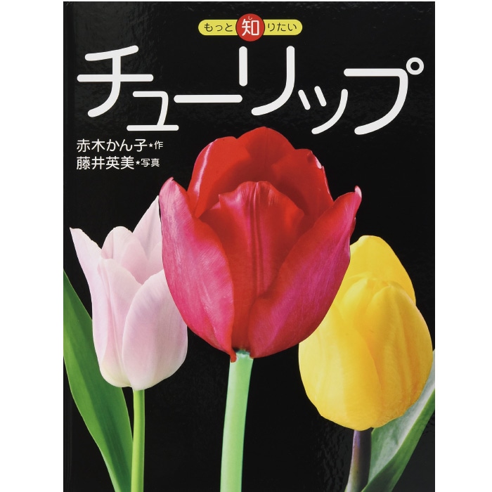 題名　チューリップ カラーメゾチント 000000007126_zolHkji.jpg