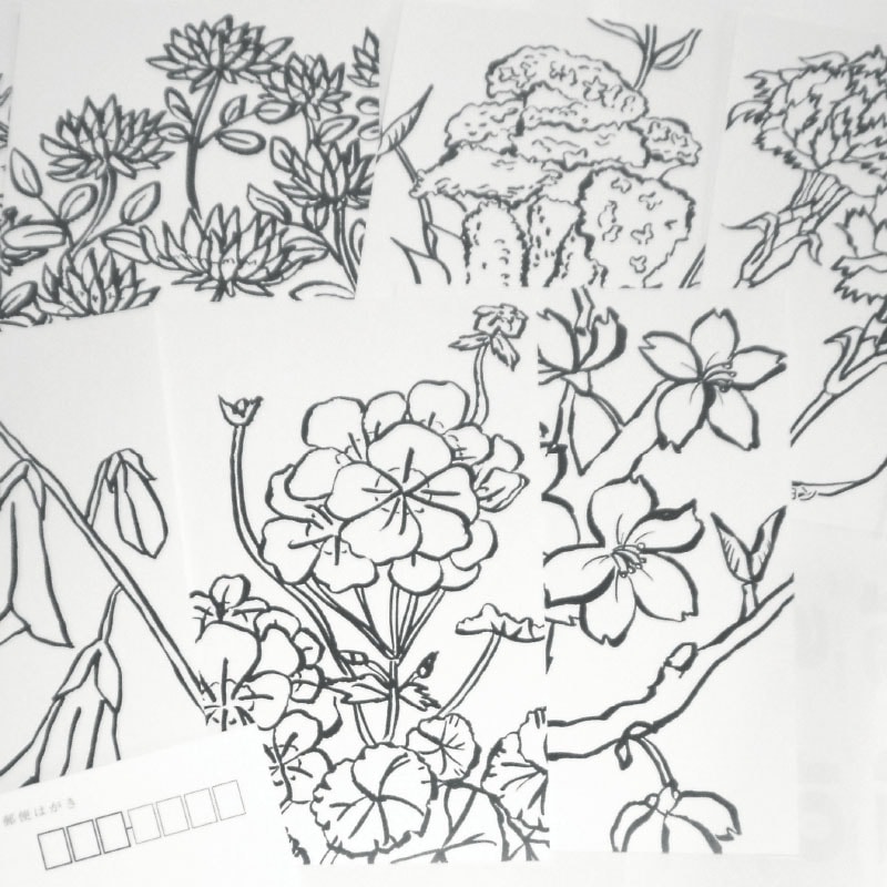 8106-0002）思い出カード②花のぬり絵 | すべての商品 | サイフク