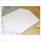 (3901-2316)���������Х롦���ꥢ�ۥ���� A4��10�����ꡡ��webshop̤�б������䤤��碌������