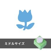 �ߥɥ륵��������եȥѥ�������塼��åסݣ�