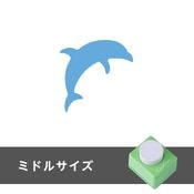 �ߥɥ륵��������եȥѥ�����ɥ�ե���