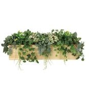 åɥܥå̡ե꡼󡡸޿͹տʪ