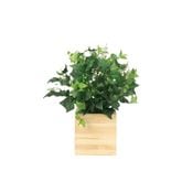 åɥܥåˡե꡼󡡸޿͹տʪ