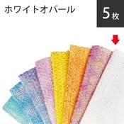 ��������ե���ȡ��ۥ磻�ȥ��ѡ��롡���祻�å�