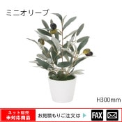 ޿͹ʪߥ˥꡼ W270D200H300mmwebshop̤б䤤碌