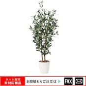 �����޿͹���ʪ�����꡼��1.2����webshop̤�б������䤤��碌������