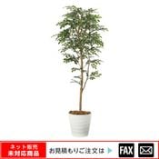 �����޿͹���ʪ���ȥͥꥳ1.6����webshop̤�б������䤤��碌������