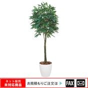 �����޿͹���ʪ���ѥ���1.6����webshop̤�б������䤤��碌������