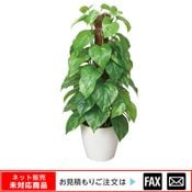 �����޿͹���ʪ�ե�å���ݡ���ݥȥ�����webshop̤�б������䤤��碌������