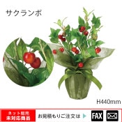 ޿͹ʪ W280D250H440mmwebshop̤б䤤碌