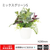 ޿͹ʪߥå꡼ӡW310D250H280mmwebshop̤б䤤碌